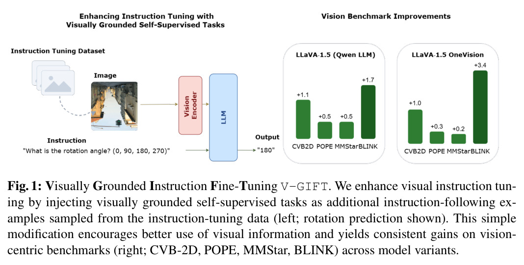 Visually Grounded Instruction Fine-Tuning (V-GIFT) 概览