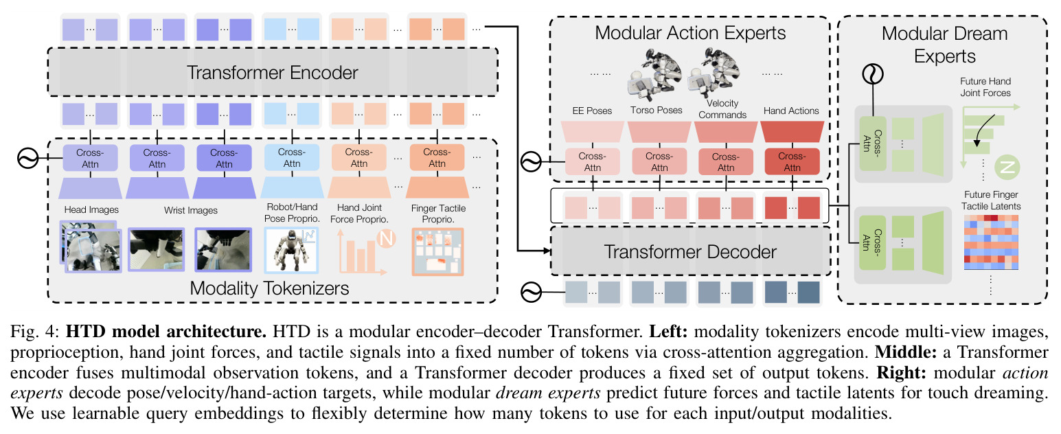 HTD model architecture.