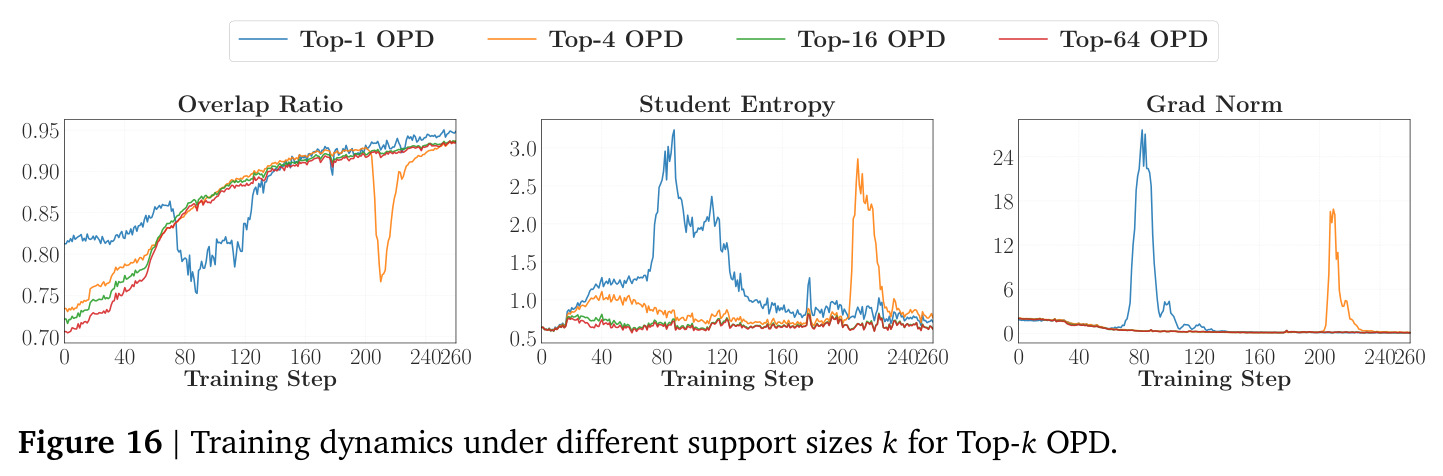 Training dynamics under different support sizes k for Top-k OPD.
