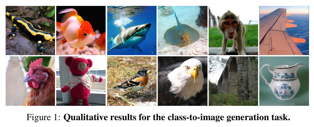 Qualitative results for the class-to-image generation task.