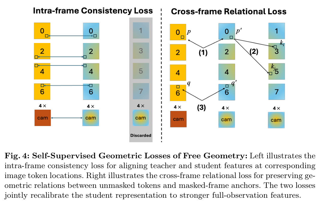 Self-Supervised Geometric Losses of Free Geometry.