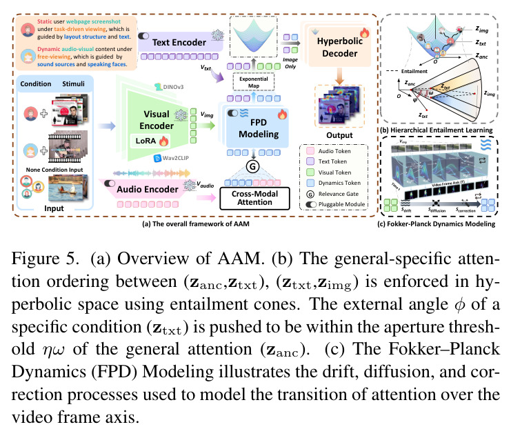 AAM overall framework (a) and hyperbolic entailment + FPD modeling (b)(c)