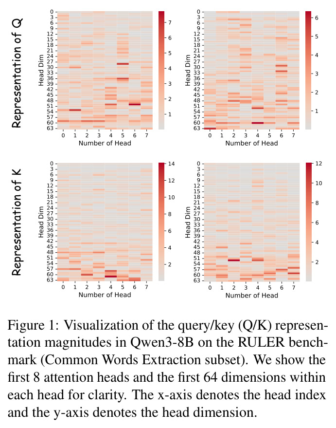 Visualization of the query/key (Q/K) representation magnitudes in Qwen3-8B on the RULER benchmark (Common Words Extraction subset).