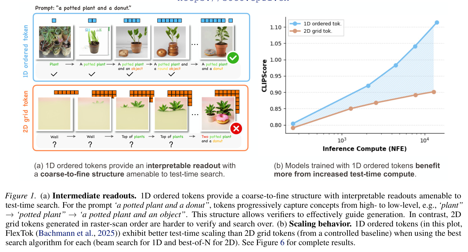 1D ordered tokens provide an interpretable readout with a coarse-to-fine structure amenable to test-time search.