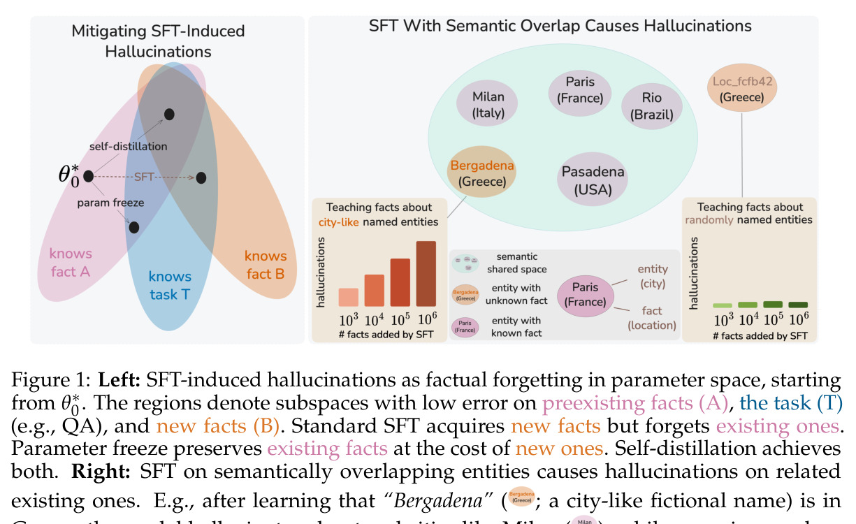 SFT-induced hallucinations as factual forgetting in parameter space; semantic overlap drives interference.