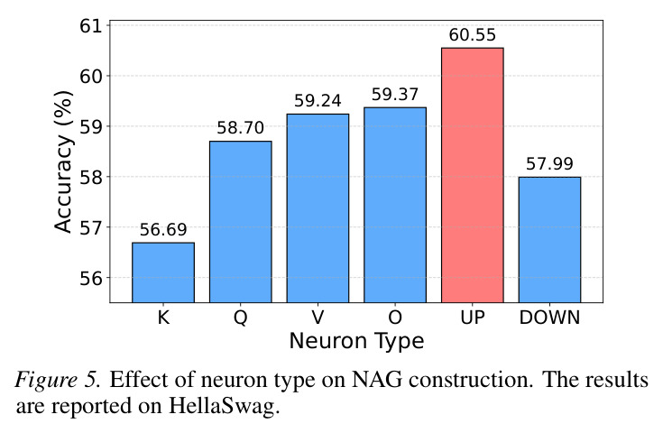 Effect of neuron type on NAG construction. The results are reported on HellaSwag.