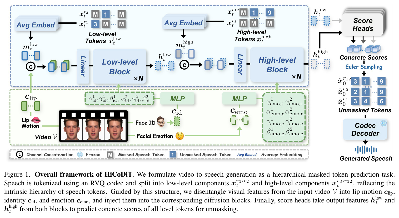 Overall framework of HiCoDiT.