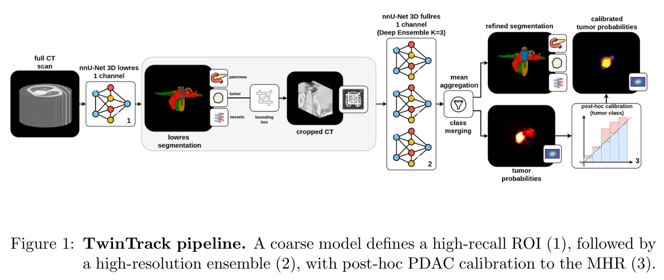 TwinTrack pipeline. A coarse model defines a high-recall ROI (1), followed by a high-resolution ensemble (2), with post-hoc PDAC calibration to the MHR (3).