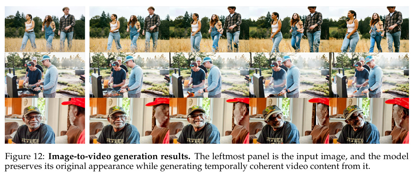Image-to-video generation results.