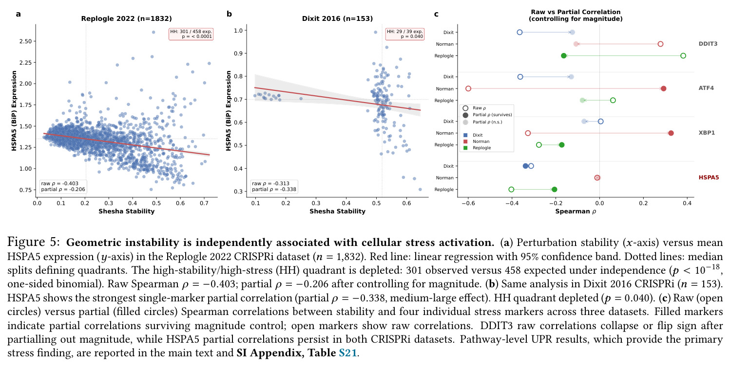 Geometric instability is independently associated with cellular stress activation
