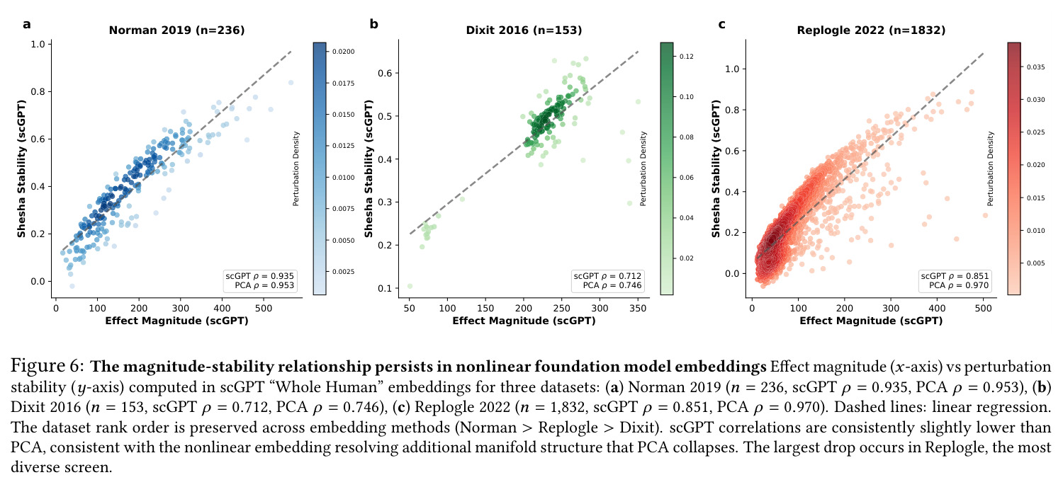 The magnitude-stability relationship persists in nonlinear foundation model embeddings