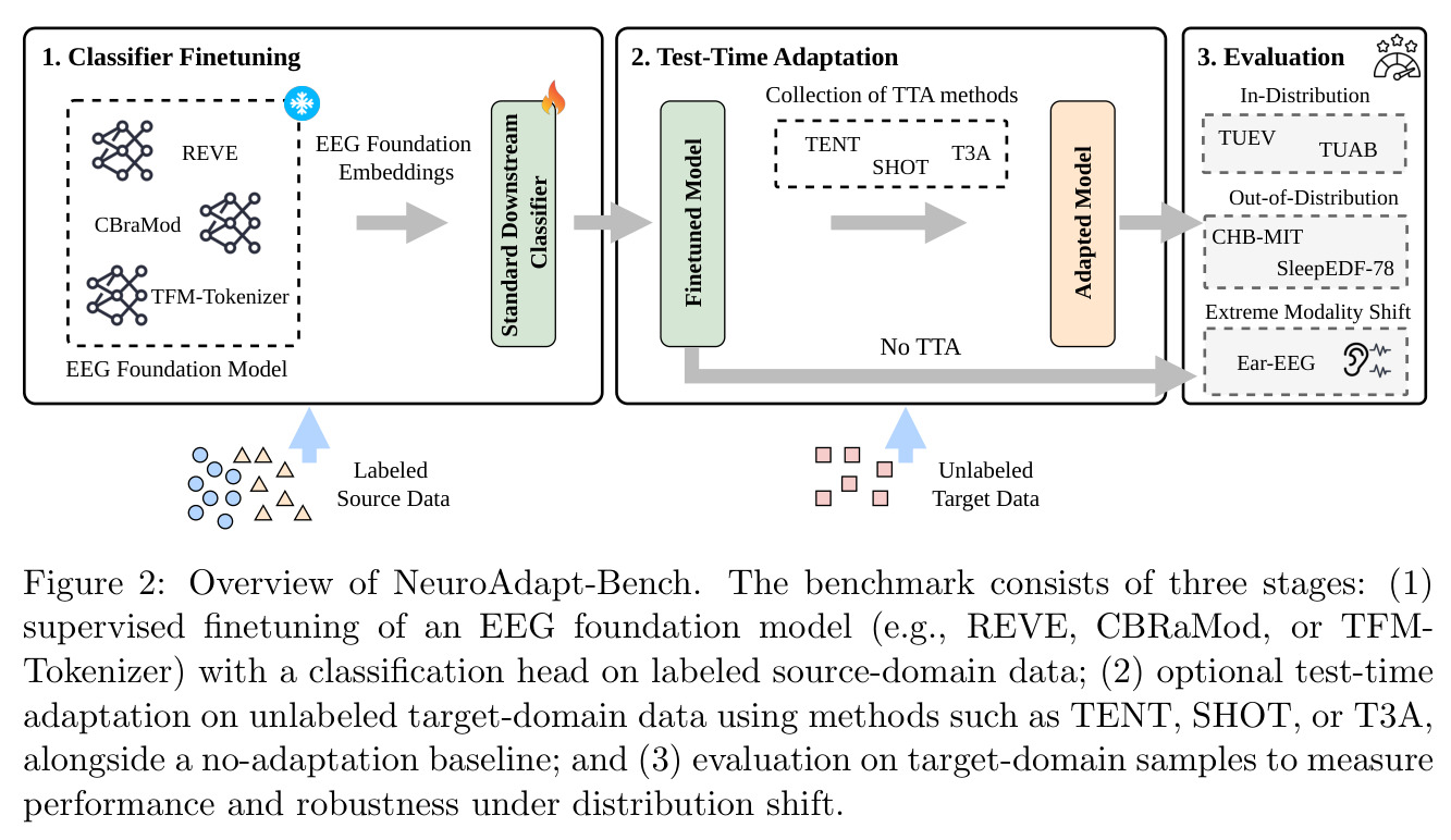 Overview of NeuroAdapt-Bench