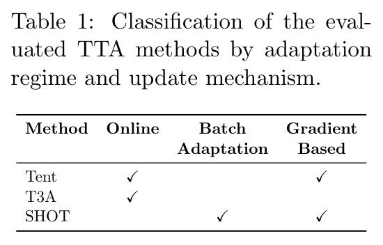Classification of the evaluated TTA methods by adaptation regime and update mechanism