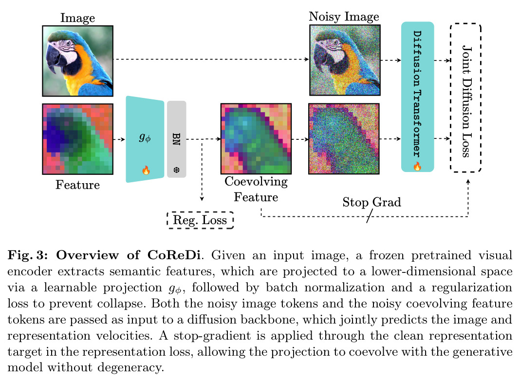 Overview of CoReDi