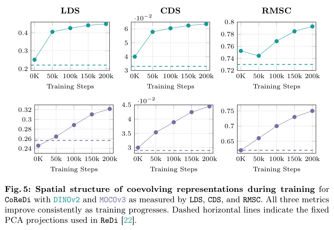 Spatial structure of coevolving representations during training (LDS, CDS, RMSC)