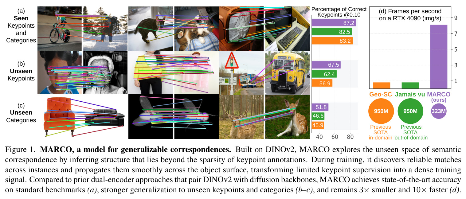 MARCO, a model for generalizable correspondences. Built on DINOv2, MARCO explores the unseen space of semantic correspondence by inferring structure that lies beyond the sparsity of keypoint annotations.