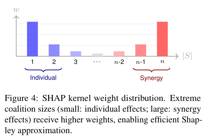 SHAP kernel weight distribution over coalition sizes.