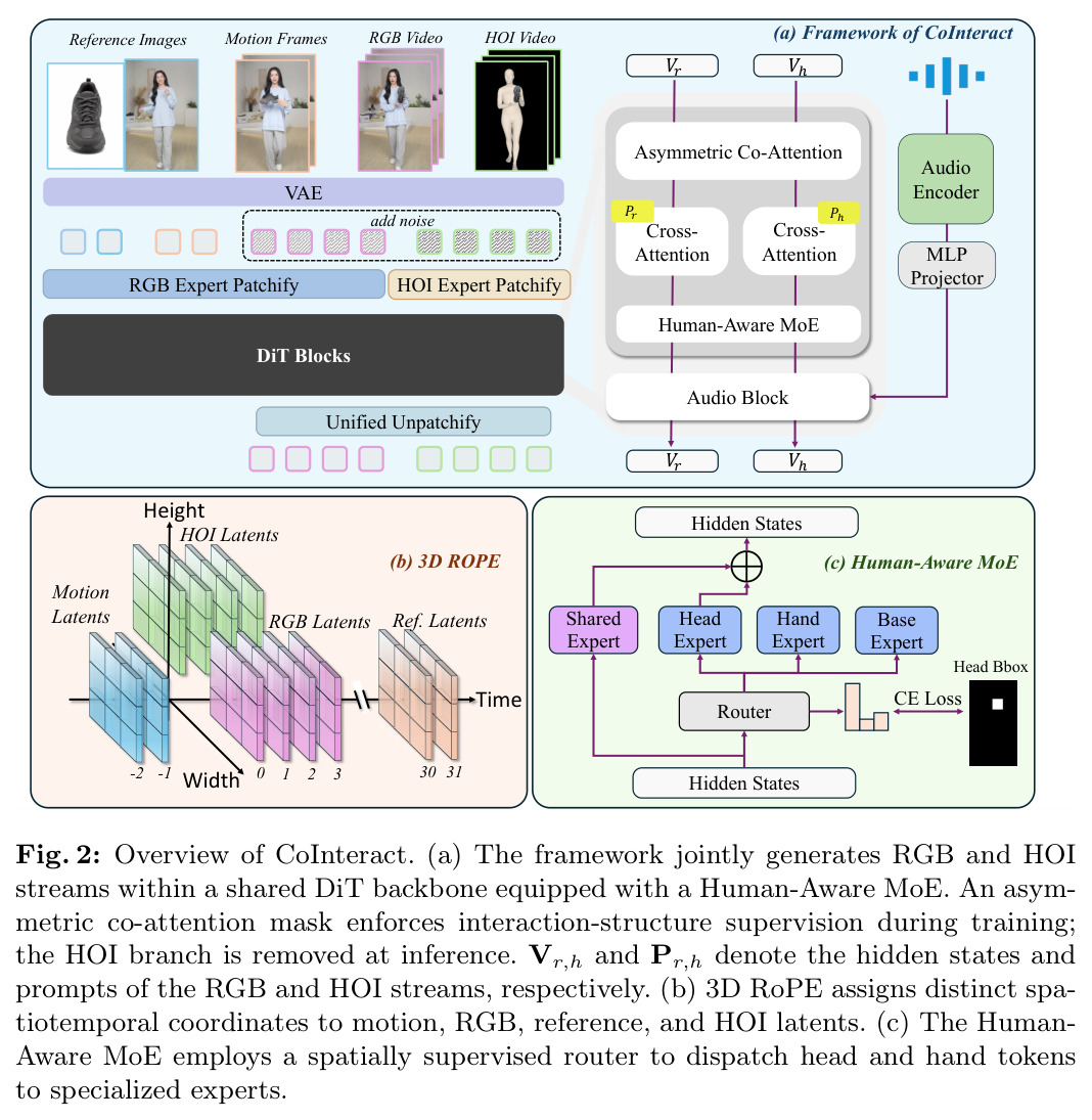 CoInteract整体框架、3D RoPE坐标分配与Human-Aware MoE
