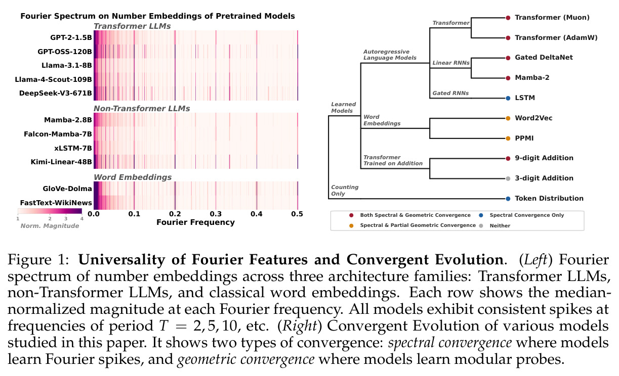 Universality of Fourier Features and Convergent Evolution