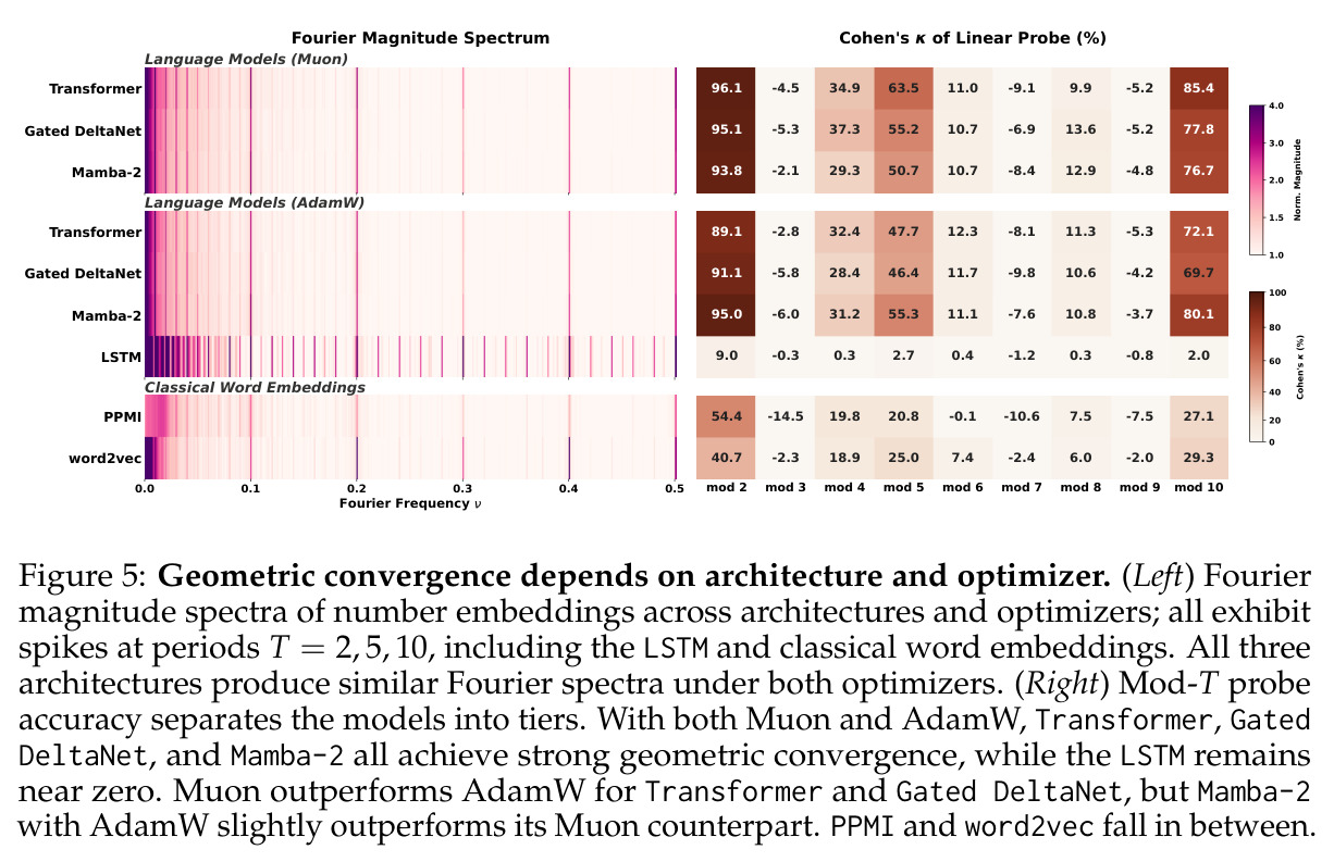 Geometric convergence depends on architecture and optimizer