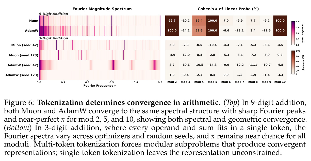 Tokenization determines convergence in arithmetic