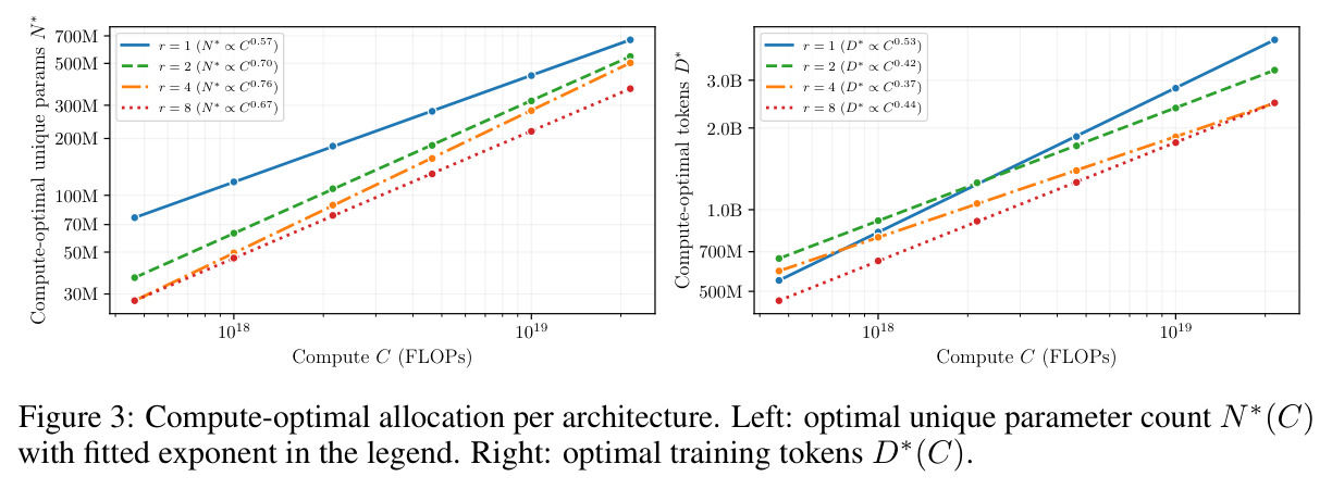 Compute-optimal allocation per architecture. Left: optimal unique parameter count N*(C). Right: optimal training tokens D*(C).