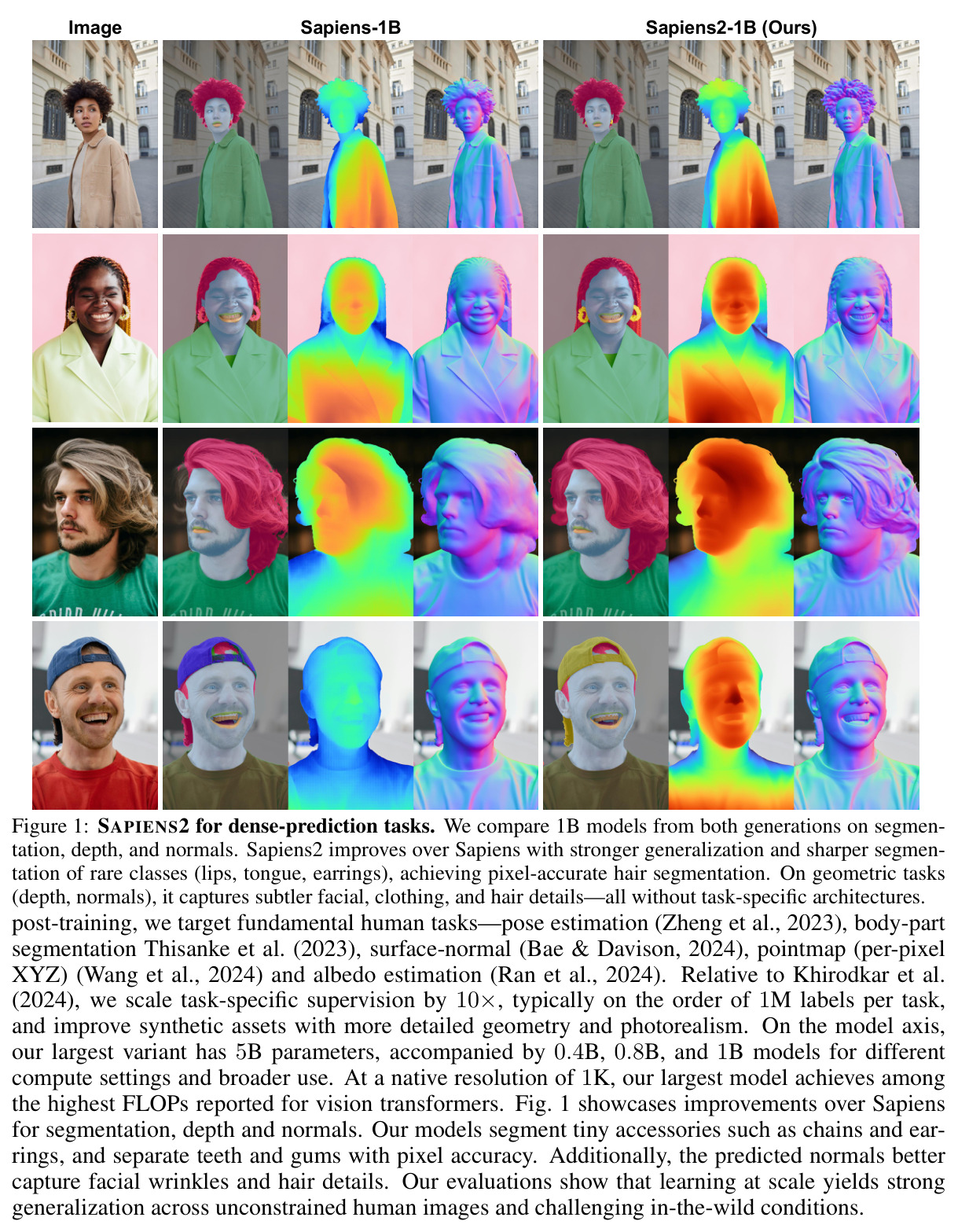 SAPIENS2 for dense-prediction tasks