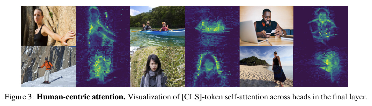 Human-centric attention