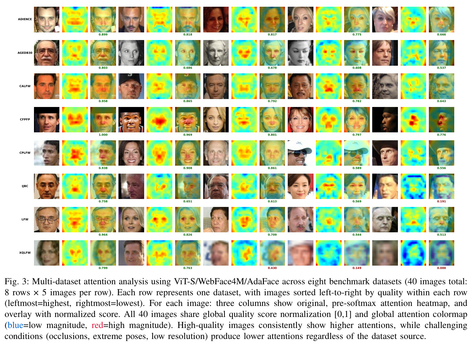 Multi-dataset attention analysis using ViT-S/WebFace4M/AdaFace across eight benchmark datasets (40 images total: 8 rows × 5 images per row). Each row represents one dataset, with images sorted left-to-right by quality within each row.