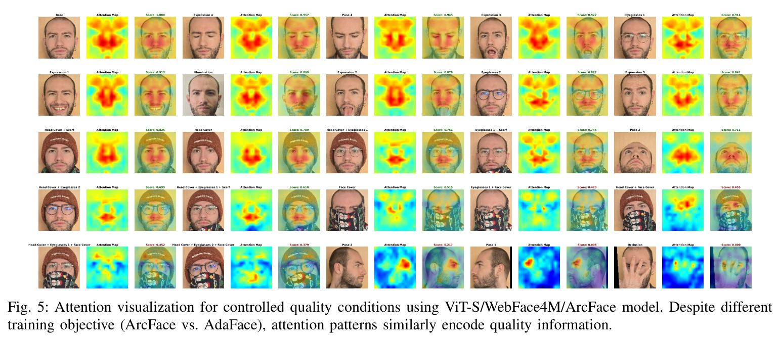 Ablation studies, metric being pAUC-EDC (the lower, the better), for ATTN-FIQA investigating different configurations: architecture depth (ViT-S vs ViT-B), training loss (AdaFace vs ArcFace), head aggregation strategies (concat all vs individual heads), and aggregation metrics (mean, max, median, 1/std).