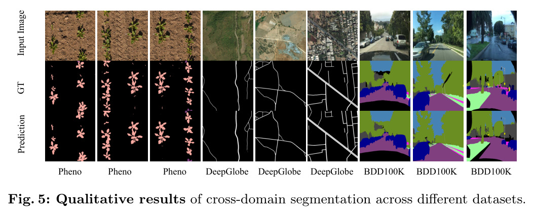 Qualitative results of cross-domain segmentation across different datasets