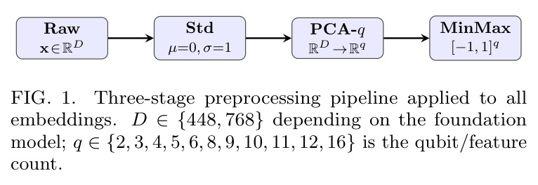 Three-stage preprocessing pipeline applied to all embeddings.