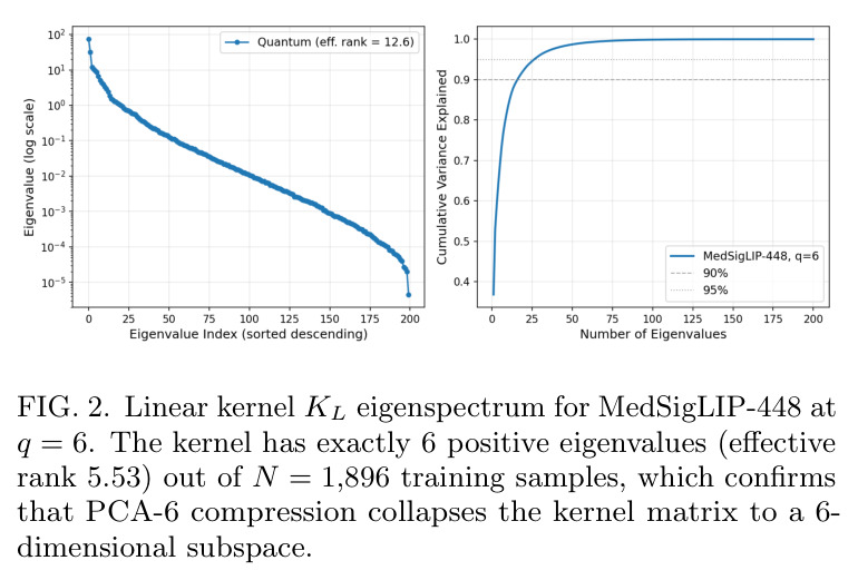 Linear kernel $K_L$ eigenspectrum for MedSigLIP-448 at $q = 6$.