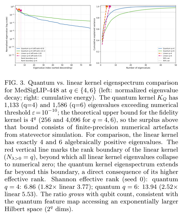 Quantum vs. linear kernel eigenspectrum comparison for MedSigLIP-448 at $q \in \{4, 6\}$.