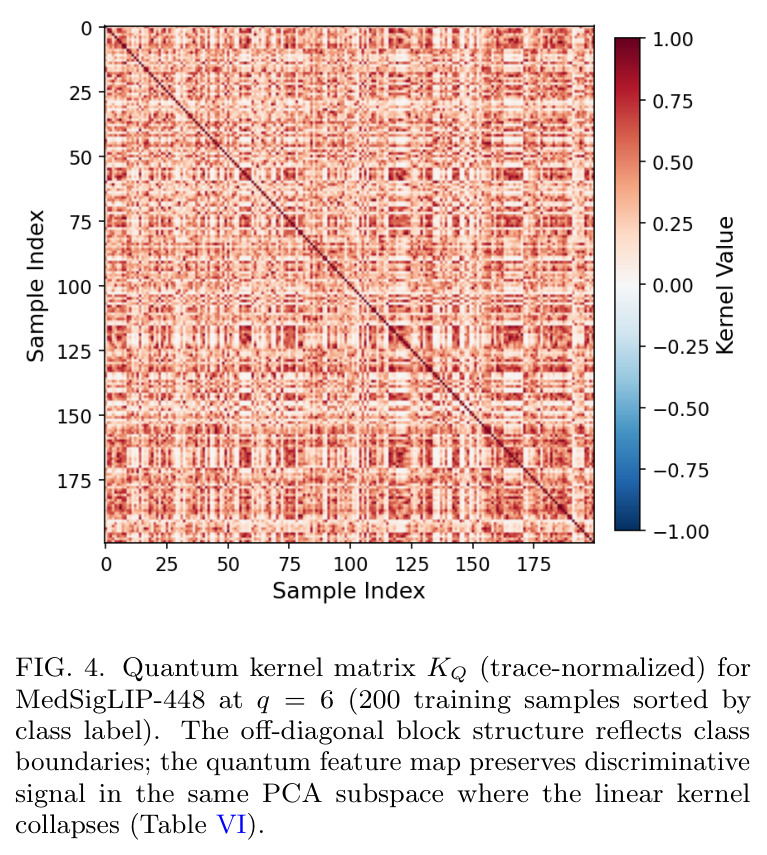 Quantum kernel matrix $K_Q$ (trace-normalized) for MedSigLIP-448 at $q = 6$ (200 training samples sorted by class label).