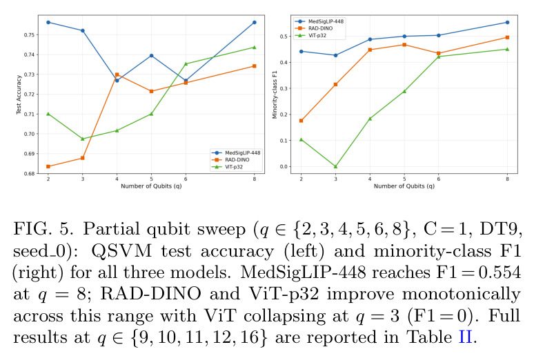 Partial qubit sweep ($q \in \{2, 3, 4, 5, 6, 8\}$, $C = 1$, DT9, seed 0): QSVM test accuracy (left) and minority-class F1 (right) for all three models.
