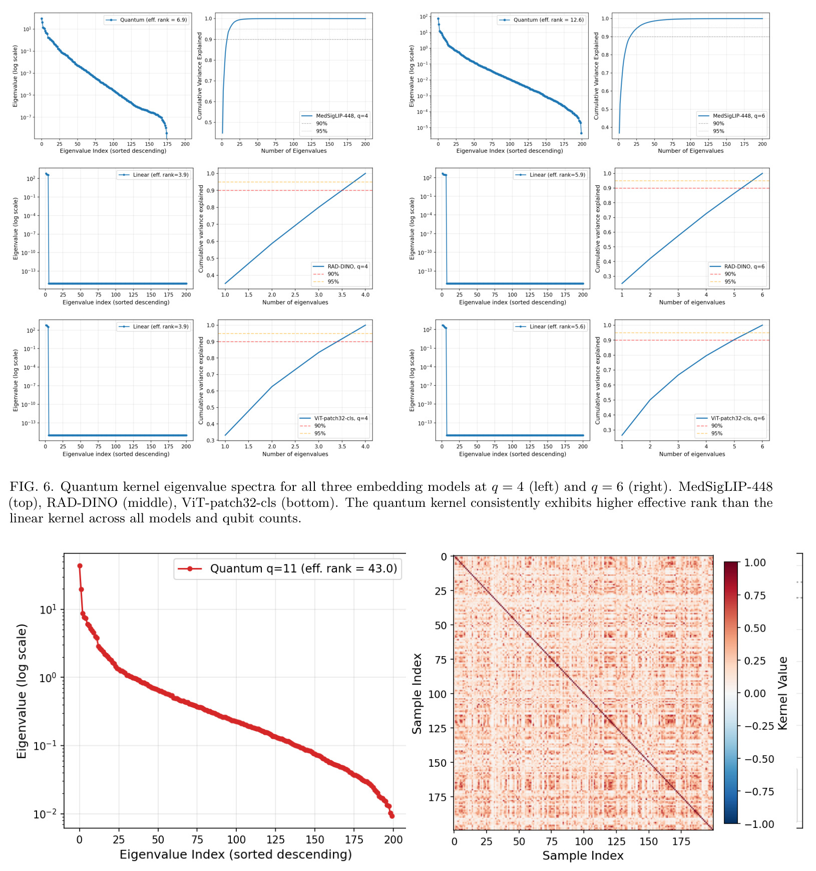 Quantum kernel eigenvalue spectra for all three embedding models at $q = 4$ (left) and $q = 6$ (right).