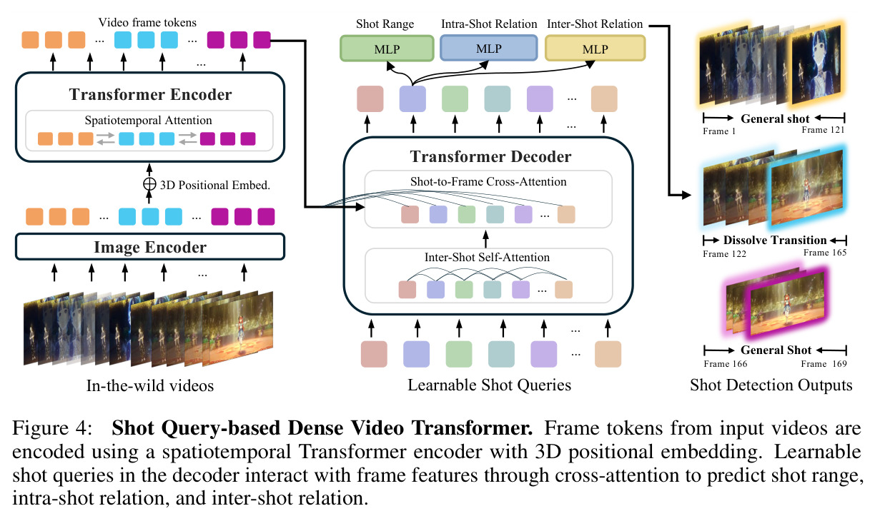 Shot Query-based Dense Video Transformer
