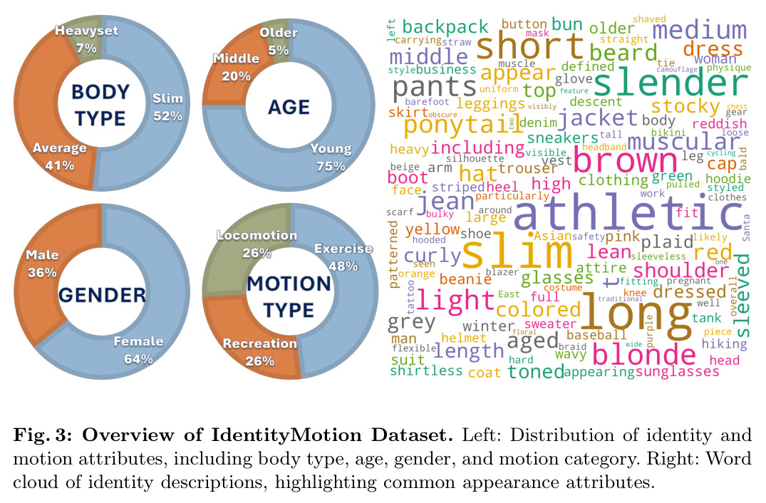Overview of IdentityMotion Dataset