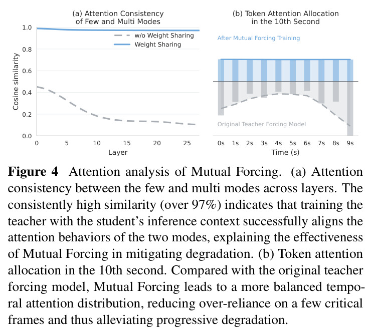 Attention analysis of Mutual Forcing.