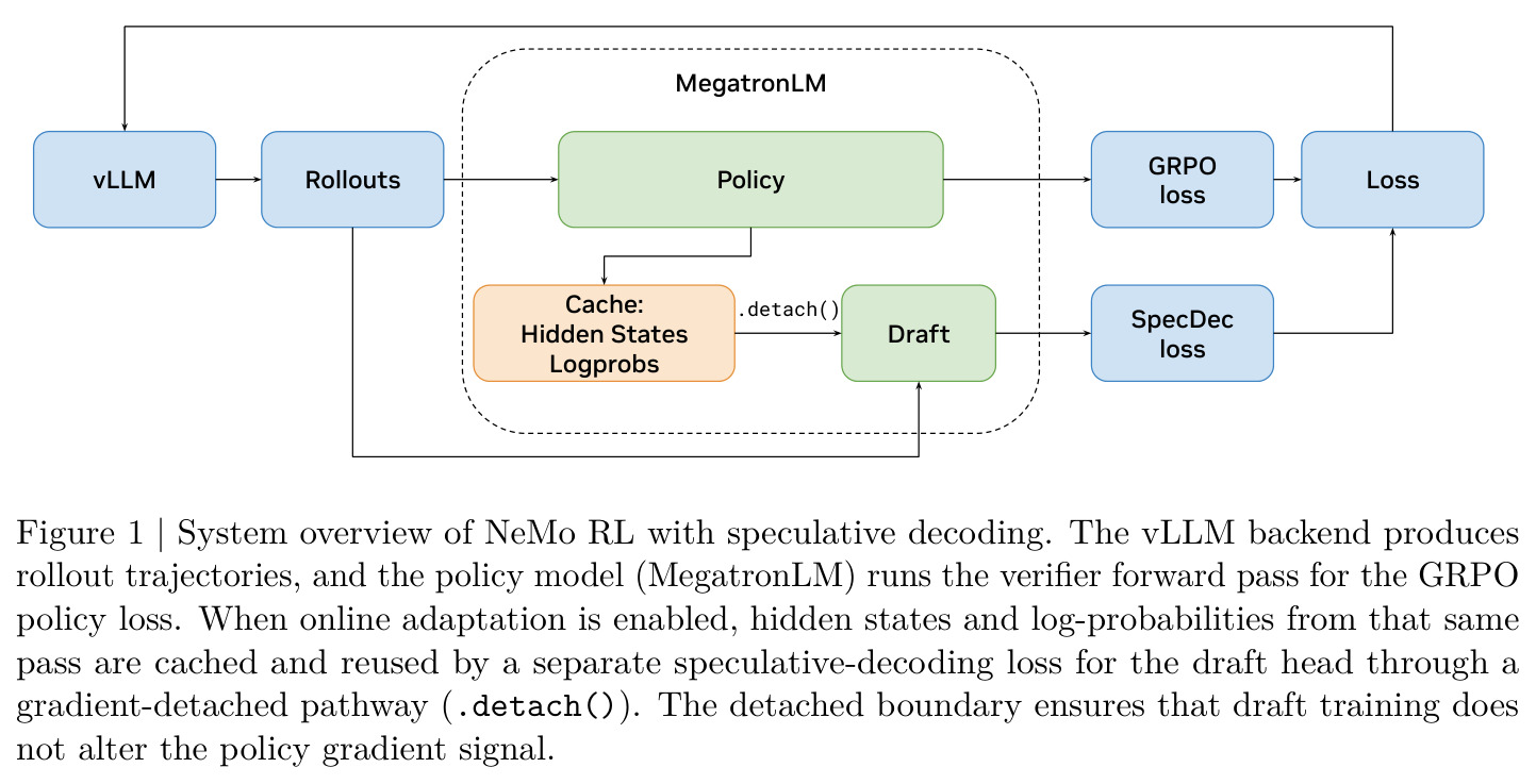 System overview of NeMo RL with speculative decoding