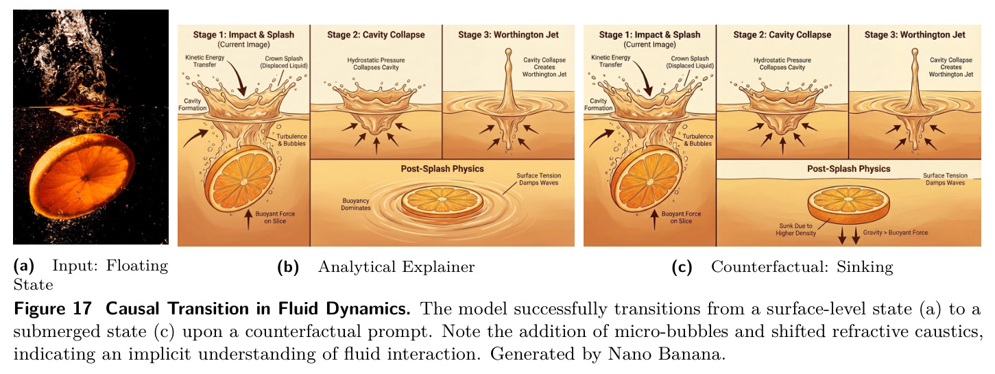 Causal Transition in Fluid Dynamics.