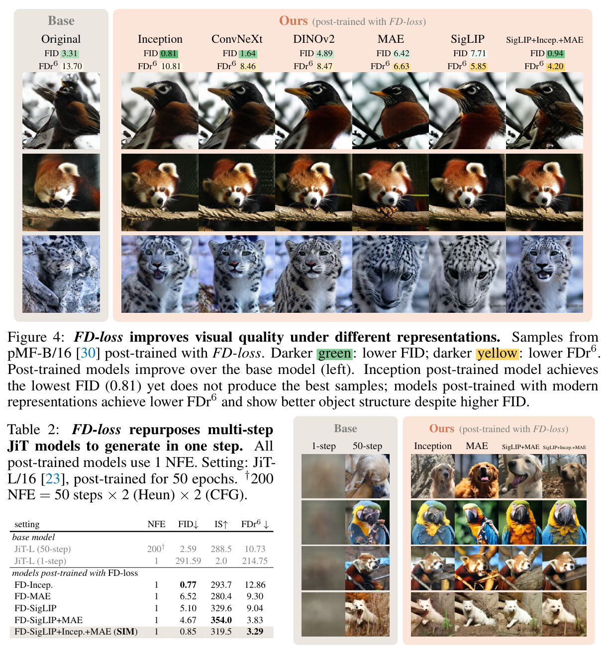 FD-loss improves visual quality under different representations.