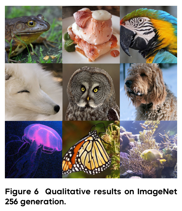 EOSTok在ImageNet 256×256上的定性生成结果