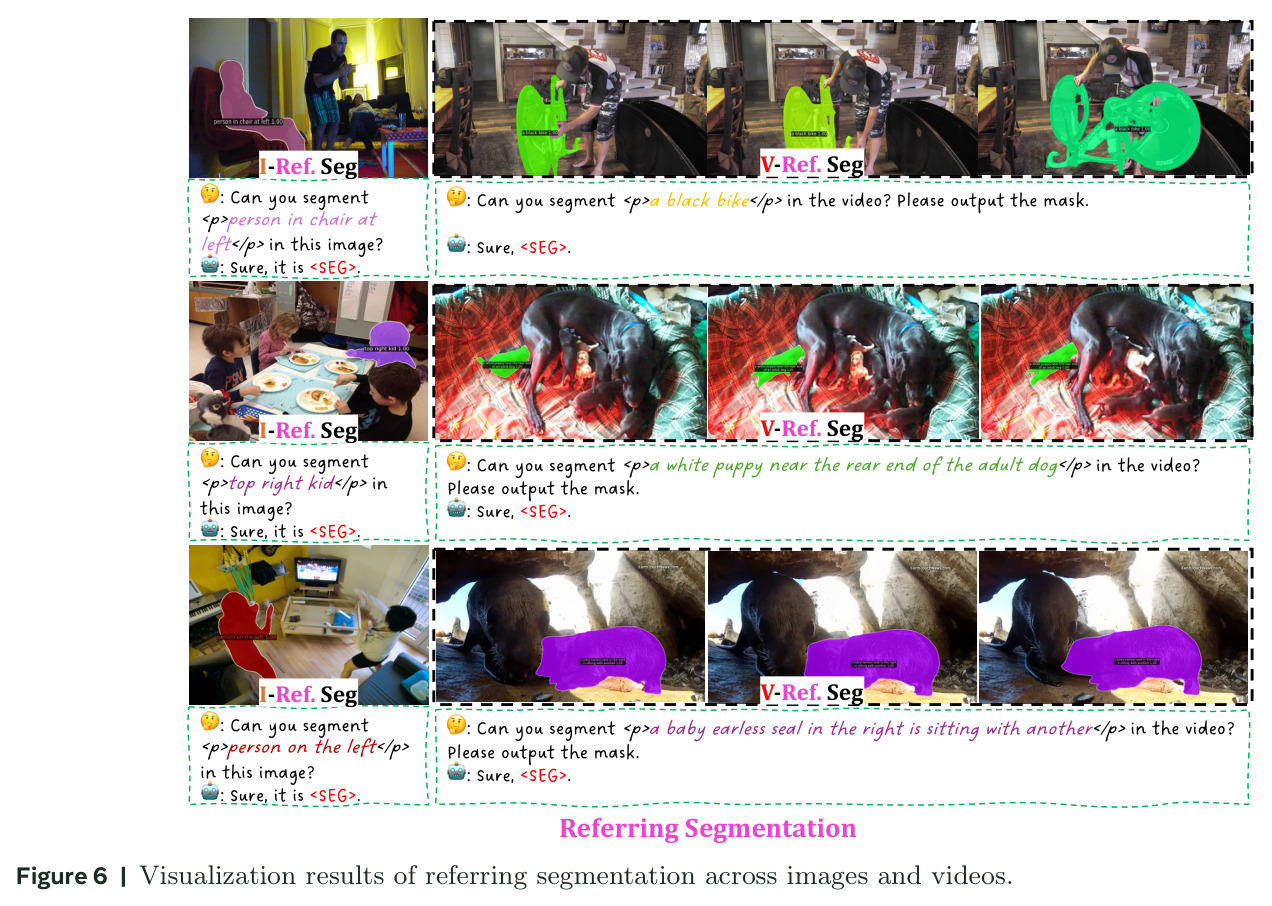 Visualization results of referring segmentation across images and videos.