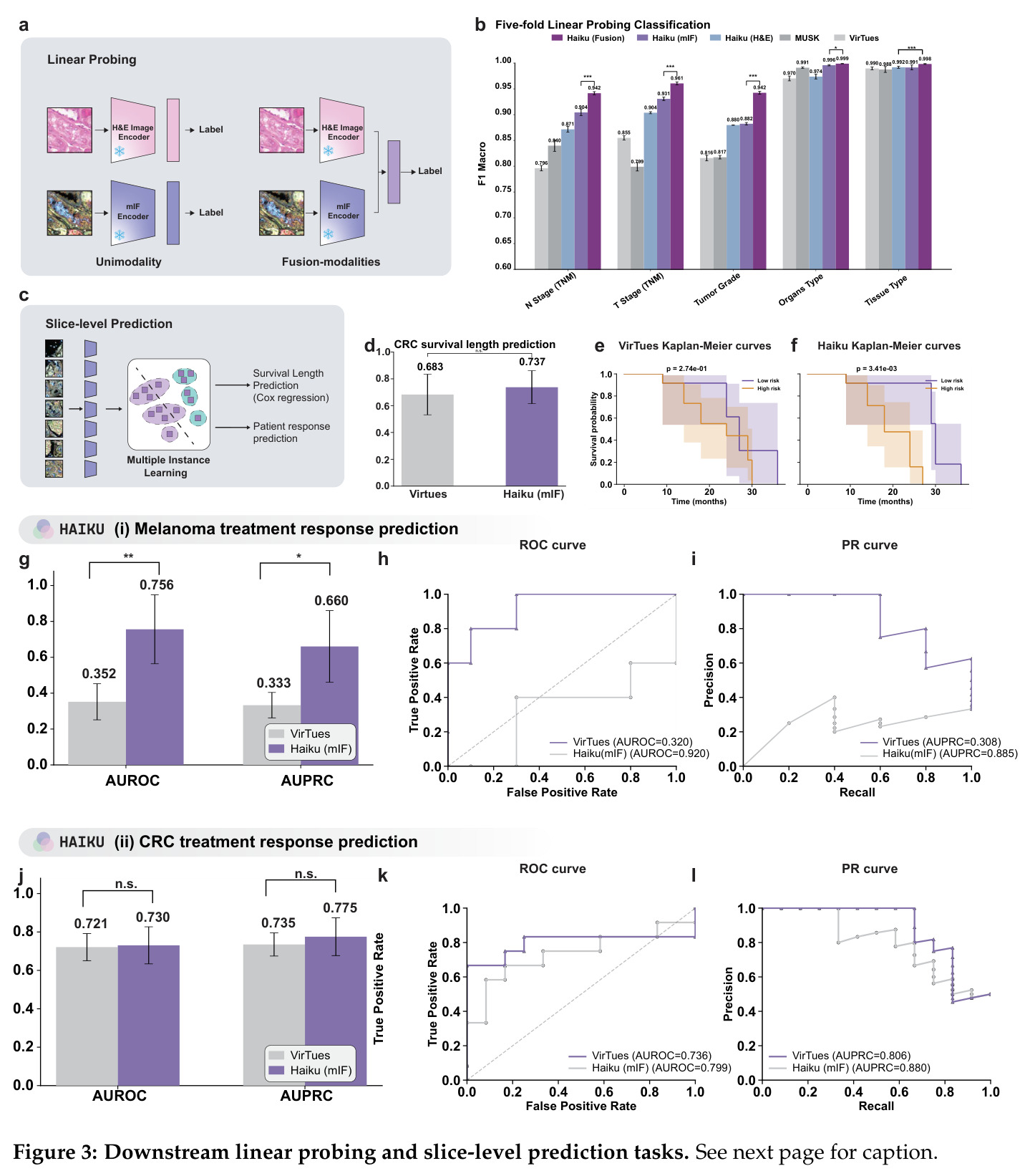 Downstream linear probing and slice-level prediction tasks