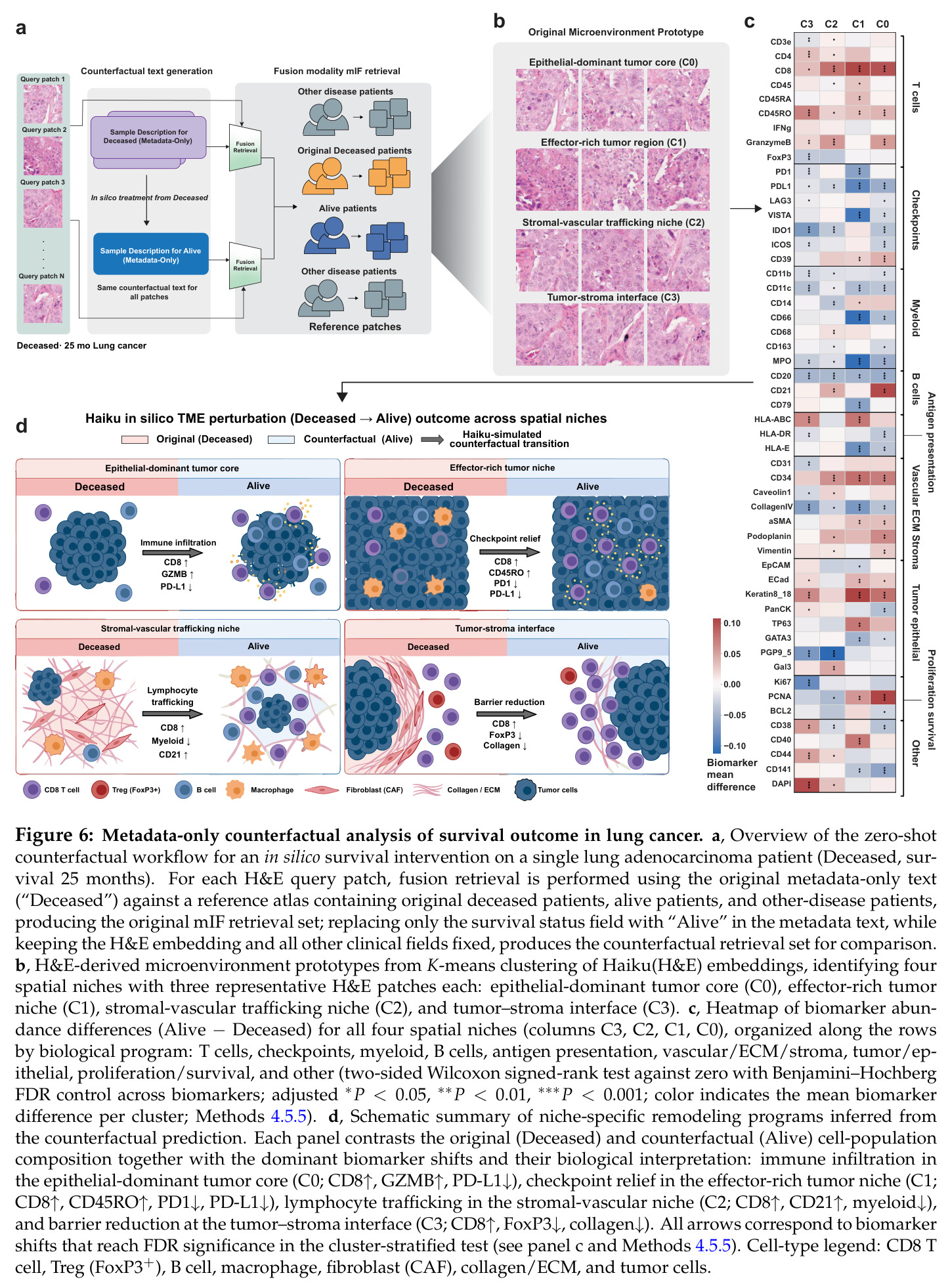 Metadata-only counterfactual analysis of survival outcome in lung cancer