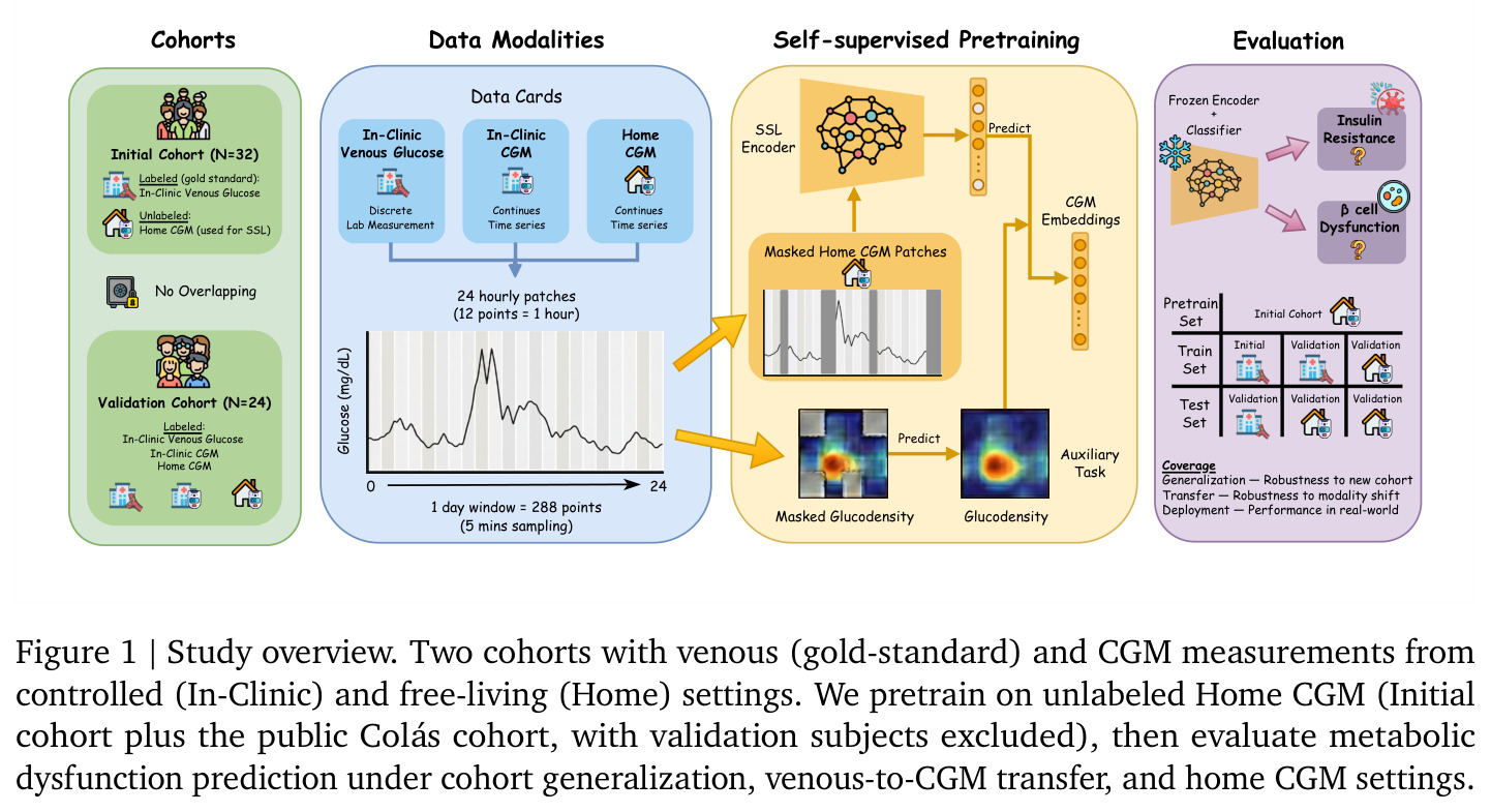 Study overview. Two cohorts with venous (gold-standard) and CGM measurements from controlled (In-Clinic) and free-living (Home) settings. We pretrain on unlabeled Home CGM (Initial cohort plus the public Colás cohort, with validation subjects excluded), then evaluate metabolic dysfunction prediction under cohort generalization, venous-to-CGM transfer, and home CGM settings.