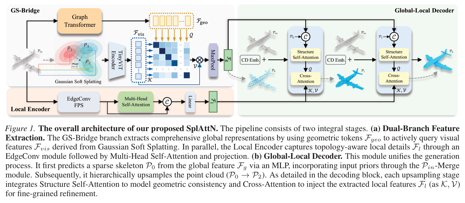 The overall architecture of our proposed SplAttN. The pipeline consists of two integral stages. (a) Dual-Branch Feature Extraction. The GS-Bridge branch extracts comprehensive global representations by using geometric tokens Fgeo to actively query visual features Fvis derived from Gaussian Soft Splatting. In parallel, the Local Encoder captures topology-aware local details Fl through an EdgeConv module followed by Multi-Head Self-Attention and projection. (b) Global-Local Decoder.