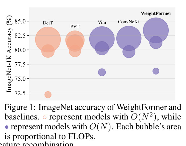 ImageNet accuracy of WeightFormer and baselines
